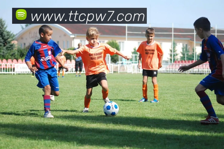 天天彩票官方网站平台生态图